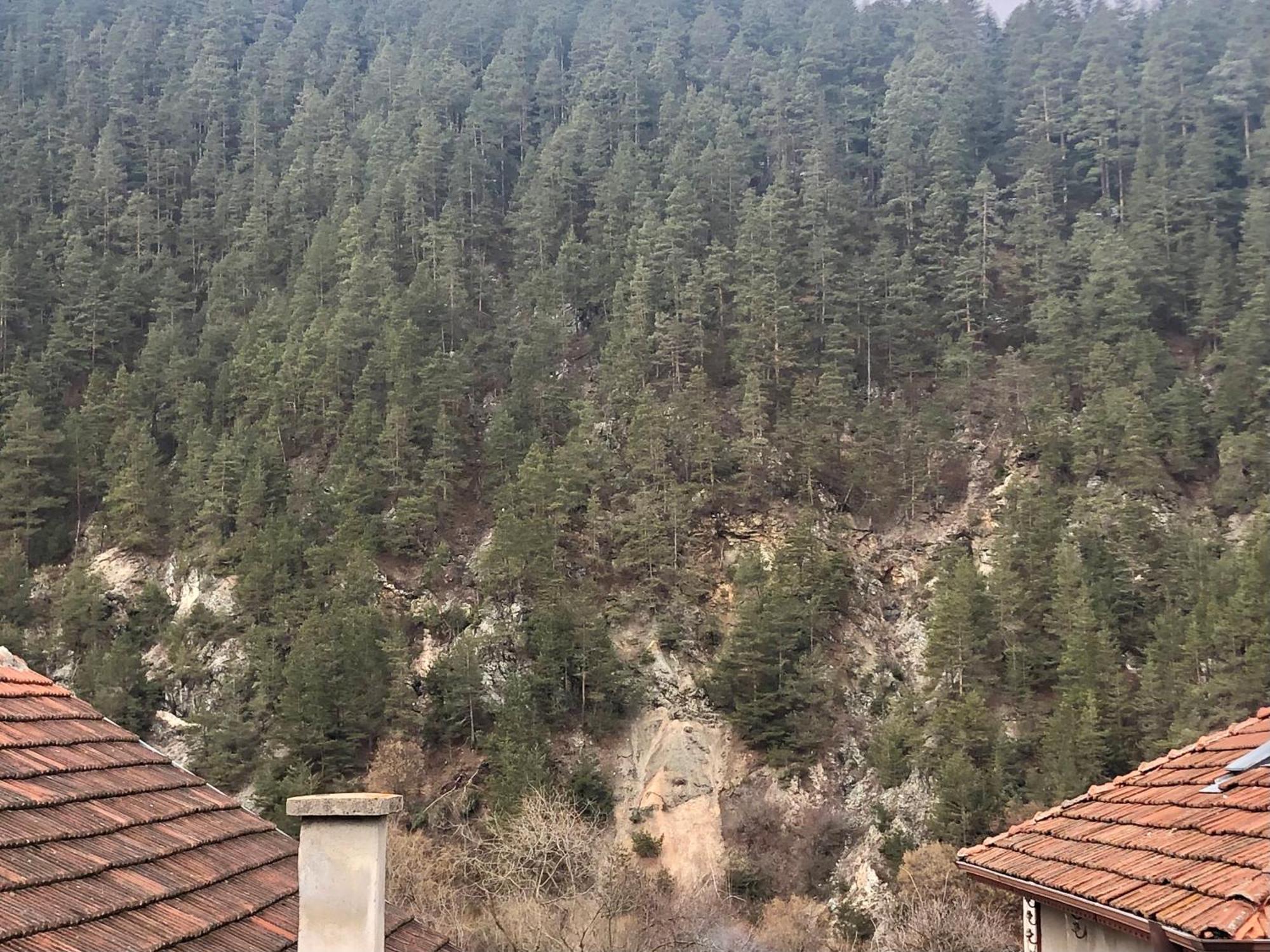 Niya Guest House Beli Iskăr Exterior foto